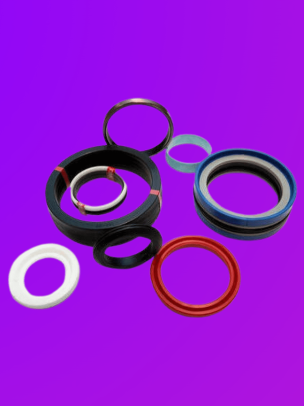Hydraulic Seal