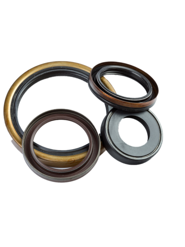 cropped-O-Ring-WO-BG-2.png