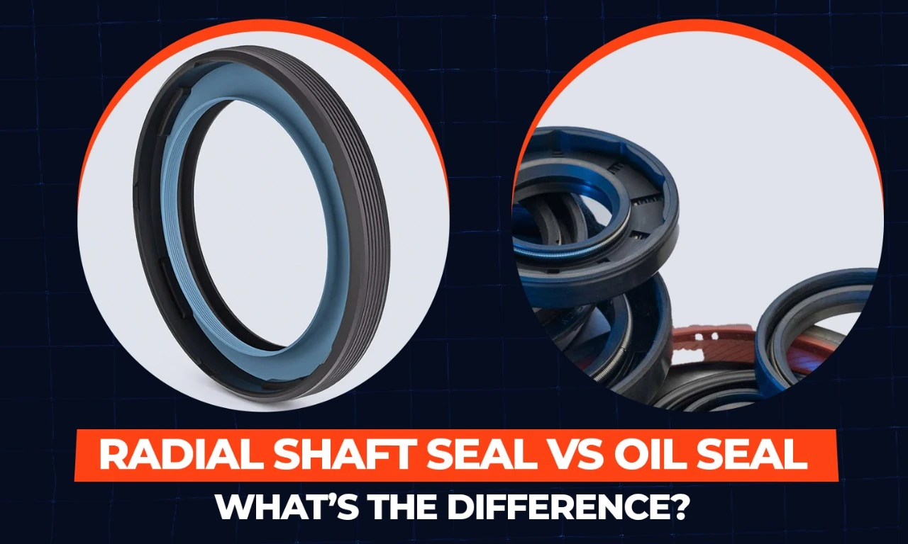 Radial Shaft Seal Vs Oil Seal