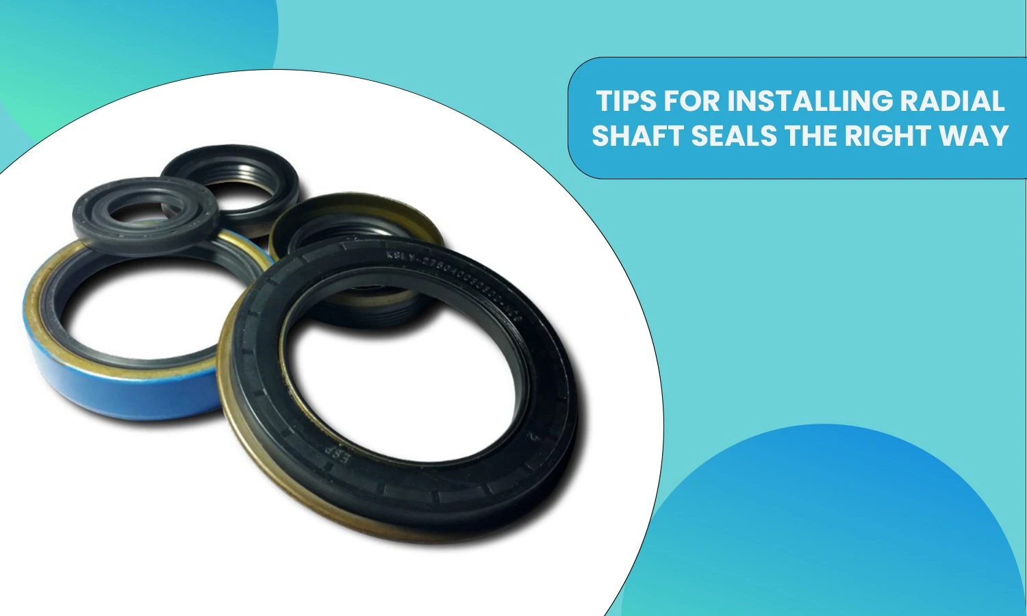 Installing Radial Shaft
